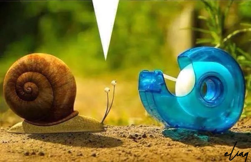 plastic snail