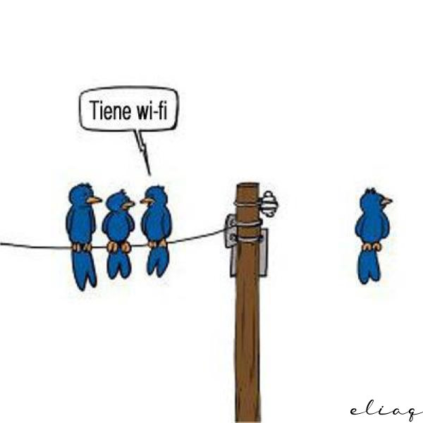fun-wifi